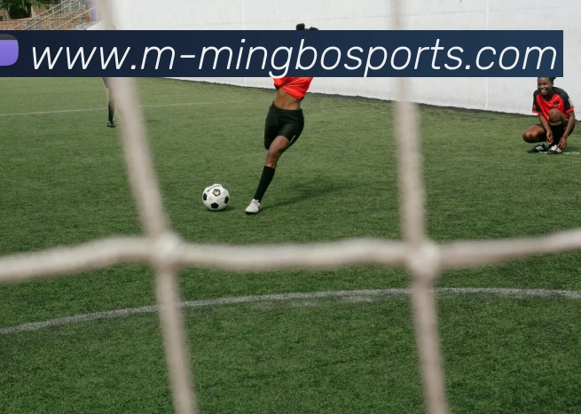 体育下注APP 封面图